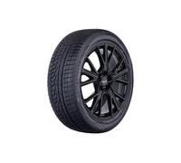 Nexen Winguard Sport 2 SUV XL M+S 255/50 R20 109V