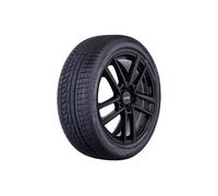 Nexen Winguard Sport 2 SUV 225/55 R18 102 V, Winterreifen