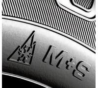 4x Ganzjahresreifen Allwetterreifen 195/70 R15C VW T4 Alpine Symbol