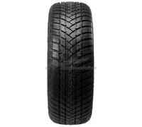 4x GT Radial WinterPro 2 3PMSF XL 205/60 R16 96H Winterreifen id98012