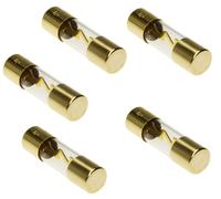 Adapter-Universe 5 x AGU Sicherung Glassicherung vergoldet 30 bis 80 Ampere SG Set für KFZ Auto PKW