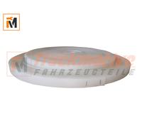 5m Zollband Zollriemen 24mm X 3mm für verschiedene Planen Afubauten LKW NFZ