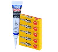 5x NGK Zündkerzen + LIQUI MOLY Fett für GRANDEUR H-1 CARGO SANTA FÉ II CARNIVAL