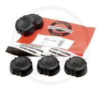5x Original Briggs & Stratton Tankdeckel 692046 397974 Motor Max Sabo Quantum