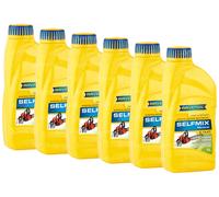6 (6x1) Liter RAVENOL Selfmix 2T