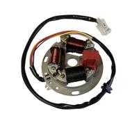 6V Lichtmaschine Stator Zündung für Simson S51 SR50 KR51 Schwalbe