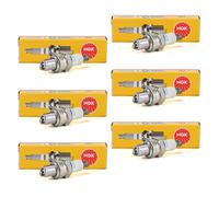 6x NGK 3365 Zündkerze für Stihl Honda Rasenmäher Freischneider Sense Motorsäge