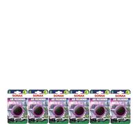 6x SONAX Air Freshener Zirbe (1 Stück) frischer Duft und lang anhaltendes Dufterlebnis für den Fahrzeuginnenraum | Art-Nr. 03670411