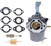 715670 Vergaser für Briggs & Stratton 715312 715442 85432 185437 185432