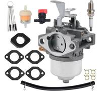 716116 Vergaser set für Briggs & Stratton 246000 246432 246435 246437