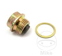 7239338 Ölablassschraube M18x1,5 Oil Drain Plug Magnet Aprilia BMW Motorrad