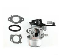 799226 Vergaser mit Dichtung für 800OHV-Motor, entwickelt für optimale Leistung