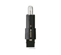HERTH&BUSS Glühlampe, Instrumentenbeleuchtung, 12 V, 1,2 W, MFHZ, BG 8-5,5d - 89901279