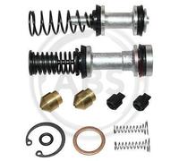 Reparatursatz, Hauptbremszylinder