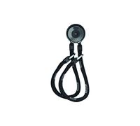 Abus WCH90 + 9KS/110 Loop Twin Chain schwarz 110 cm