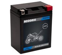 ACCONIC Sportivo AGM YB14L-BS Motorradbatterie 14 Ah 12V (DIN 51411)