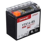 Accurat Motorradbatterie YTX14-BS - 12V, 14Ah, 200A, rüttelfest, wartungsfrei, LCD Display - Starterbatterie, Gel Batterie in Erstausrüsterqualität für Rasentraktor, Roller, Motorrad, Quad