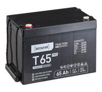 Accurat T65 Pro AGM Rollstuhl-Batterie 12V 65Ah Elektromobil Seniorenmobil VRLA