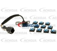 ACKOJA Rückfahrkamera Einpakhilfe passend für Santa | A52-74-0001