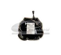 FAP Kraftstoffadditiv EOLYS POWERFLEX Peugeot 308 1.6 HDI 9658682380