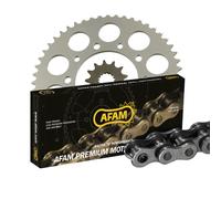 Kettensatz Kettenkit SkyTeam Skymax 125 ST125-6 AFAM 420 M 2013-2016