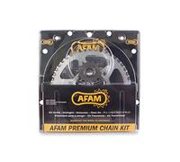 Afam Kettensatz Stahl Kit für KAWASAKI VN 800 Classic 1996 - 2006 kettenkit