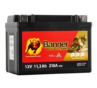 AGM-Batterie Banner BIKE BULL AGM PLUS 51201 BGTZ14-S