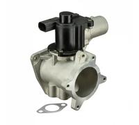 AGR-Ventil AGR elektrisch EG10446-12B1 DELPHI für VW TOUAREG MULTIVAN T5
