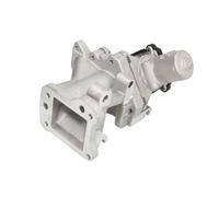 Delphi EG10437-12B1 - AGR-Ventil