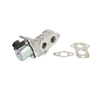 AGR Ventil DELPHI EG10440-12B1