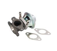 AGR Ventil DELPHI EG10476-12B1