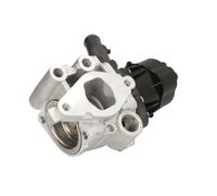 AGR Ventil DELPHI EG10482-12B1