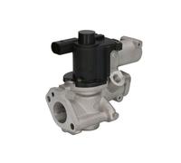 AGR Ventil DELPHI EG10509-12B1
