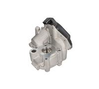 AGR Ventil DELPHI EG10538-12B1