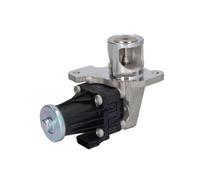AGR Ventil DELPHI EG10553-12B1