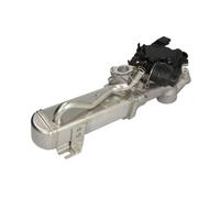 AGR Ventil NRF 48205