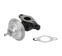 AGR-Ventil AGR 48687 NRF für AUDI VW OPEL MERCEDES-BENZ SEAT FIAT ROVER NISSAN
