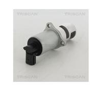 TRISCAN AGR-Ventil 8813 10100