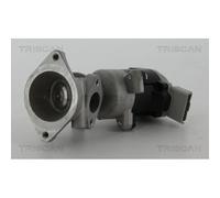 TRISCAN AGR-Ventil 8813 17020