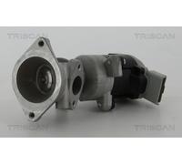 TRISCAN AGR-Ventil 8813 17020
