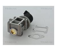 Triscan AGR-Ventil 8813 24082 für Alfa Romeo, Fiat, Lancia, Opel, Saab, Vauxhall