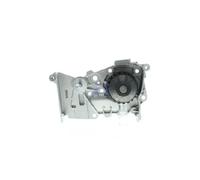 Aisin Wasserpumpe Kühlmittelpumpe 210105296R 210101302R 210105707R 21276167