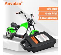 Akku Lithium-Ionen-Batterie 60V 20Ah BMS Für Citycoco Elektroroller Citycoco