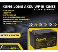 Akku-Satz 36V 15Ah passend für Rolektro BT100