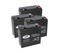 Akku-Satz 48V 25Ah für Rolektro City 45, City 45 V2 & E-Trike 25