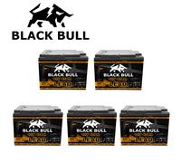 Akkupack BATTERIE 60V 45AH ECabino E-Lizzy E-Lazzy Econelo Stormborn
