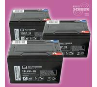Akku Satz 36V Batterien für Forca Raceking-1200, 3 x 12V 15Ah Blei AGM VRLA