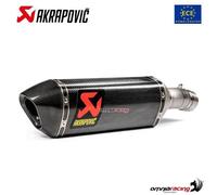 Akrapovic Auspuff zugelassen Carbon Slip-On BMW S1000XR 2020-2023