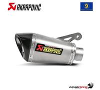 Akrapovic Slip-On Line Auspuff Titanium BMW S 1000 R 2014-2016 S1000R K10