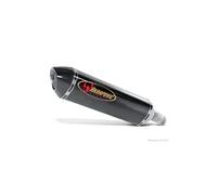Slip-on Line Auspuffsystem mit EG-BE Titan, Carbon, Edelstahl Yamaha Fz1 Fazer